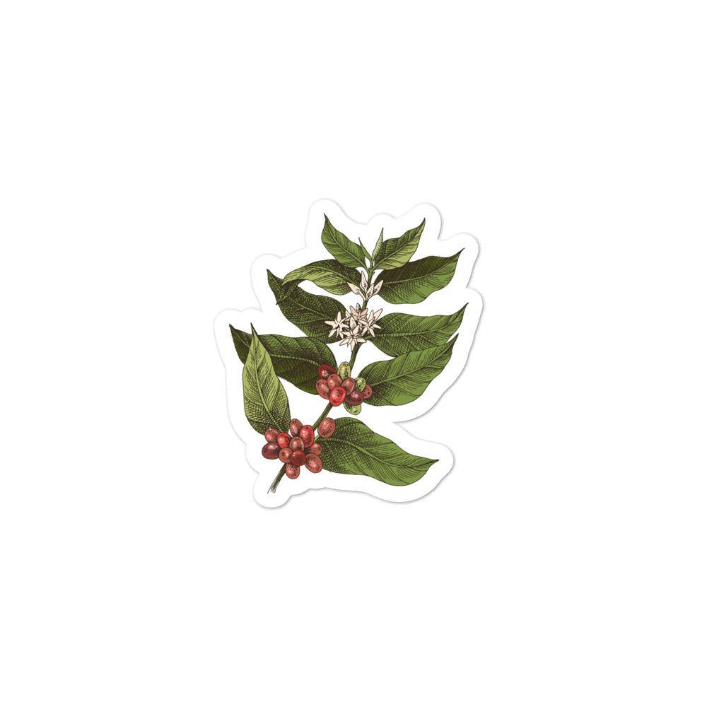 Coffee Plant stickers - Aperture Coffee