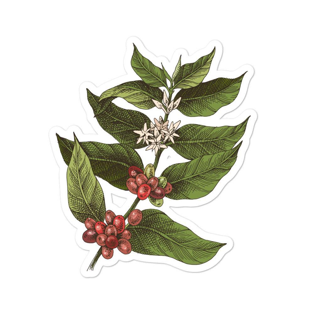 Coffee Plant stickers - Aperture Coffee