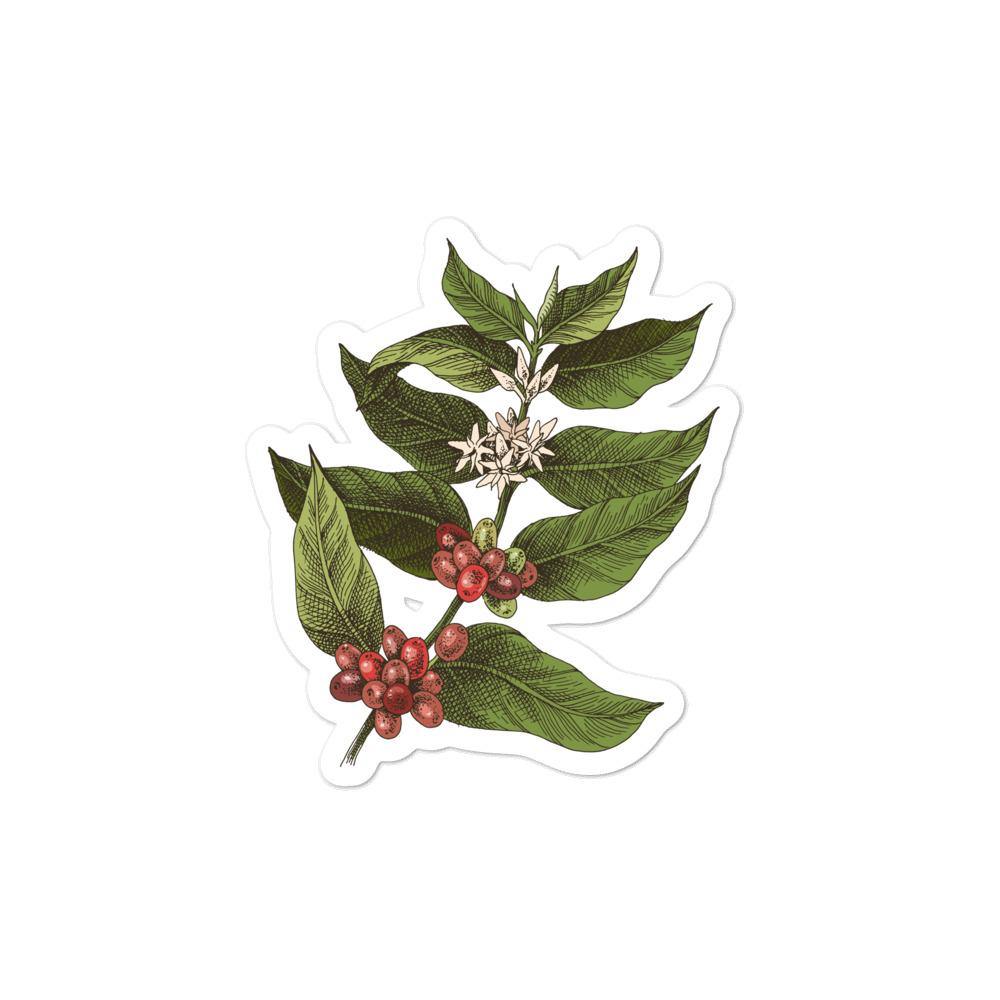 Coffee Plant stickers - Aperture Coffee